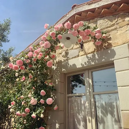 בית חווה Podere Paradiso מאג'ונה