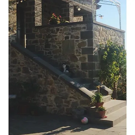 בית חווה Podere Paradiso מאג'ונה