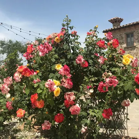 ファームステイ Podere Paradiso *